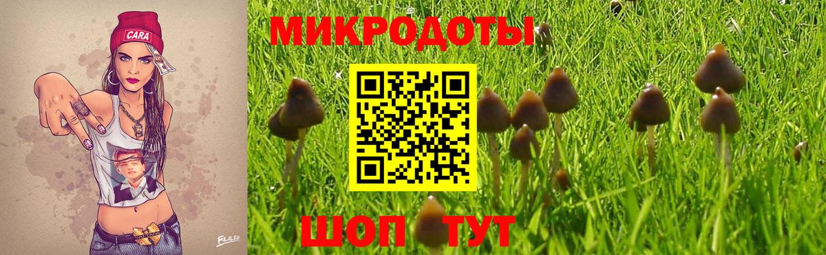Псилоцибиновые грибы Cubensis Рязань